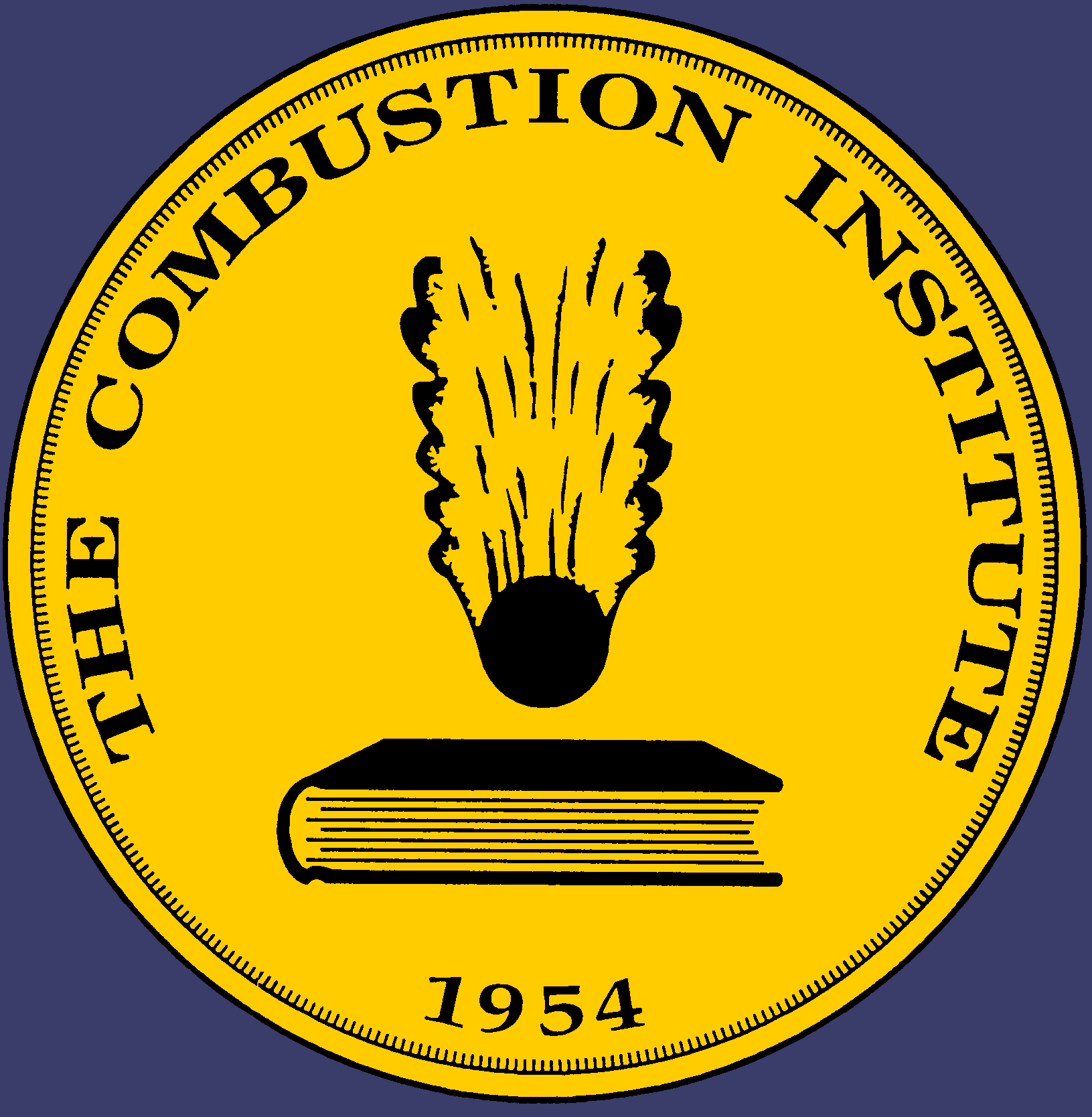 Combustion Institute (German Section)